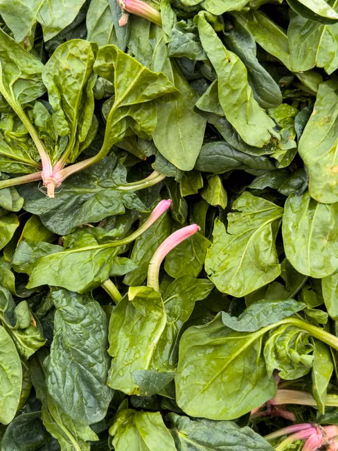 Hortifruti